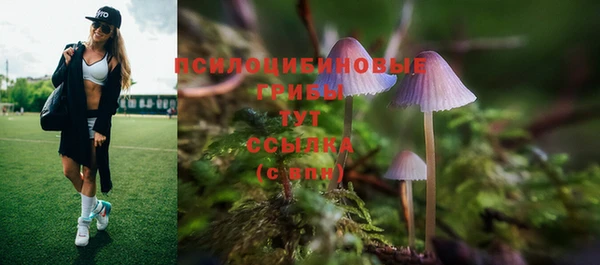 гашик Абдулино