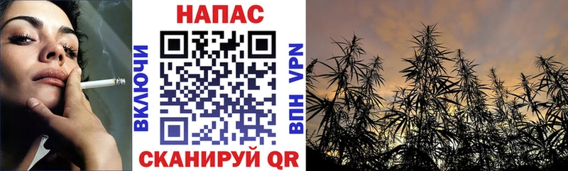 дарнет шоп  Зубцов  Бошки марихуана Ganja 